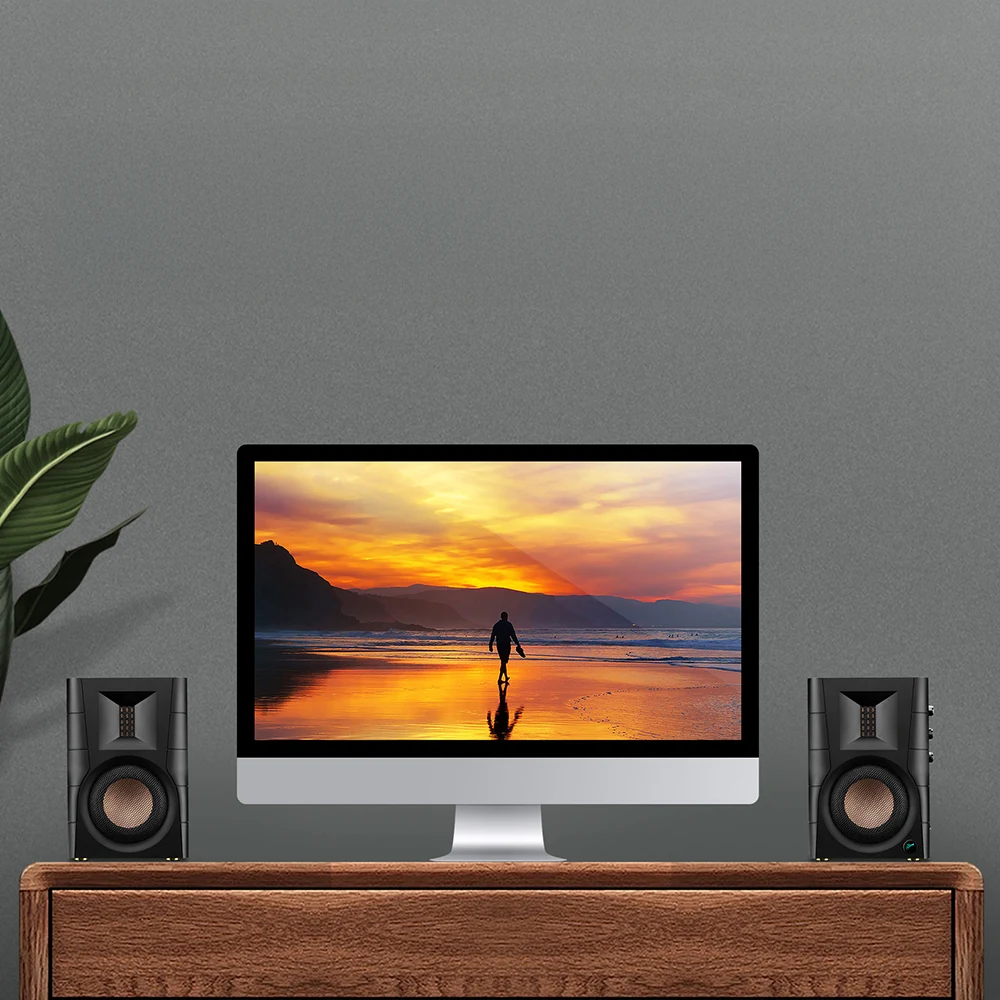 HiVi Swans D100'ün yan panelindeki ses, tiz ve bas ayar düğmeleri