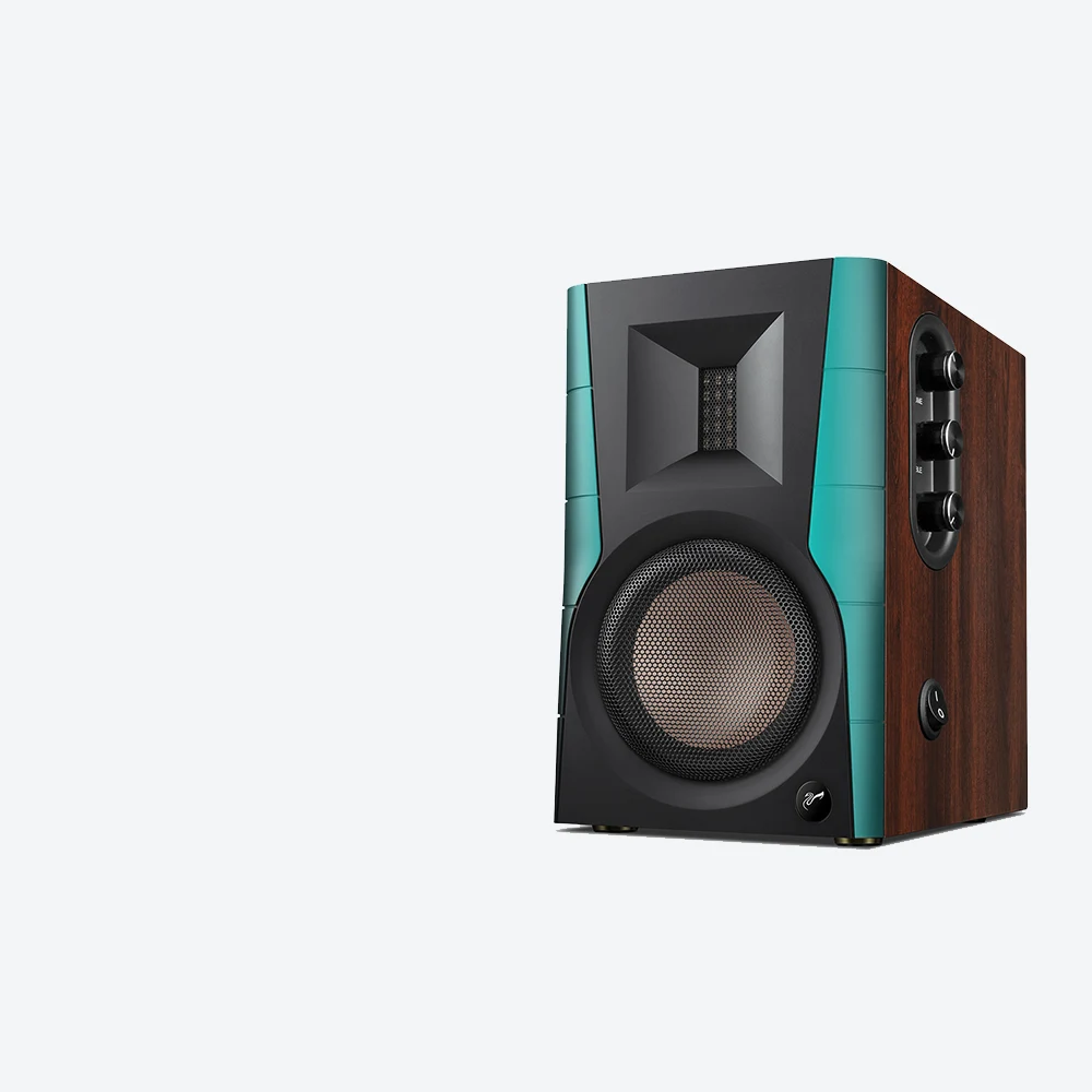 HiVi Swans D100'ün Bluetooth, Optik, Koaksiyel ve Line girişleri