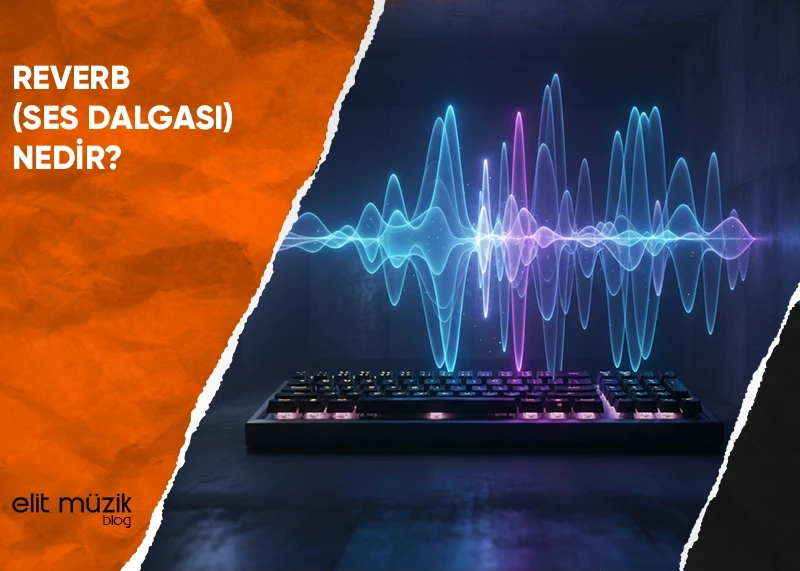 Reverb (Ses Dalgası) Nedir?