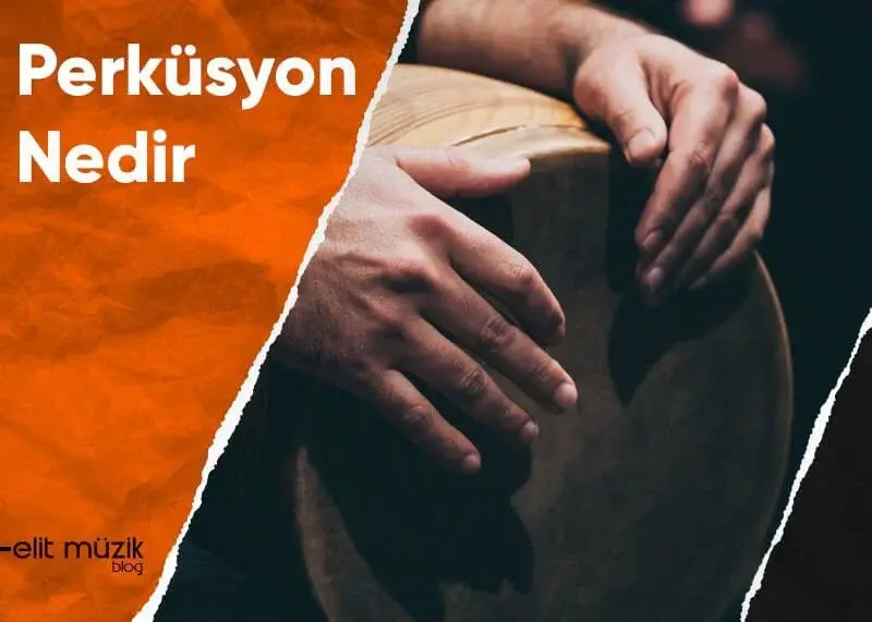 Perküsyon Nedir?