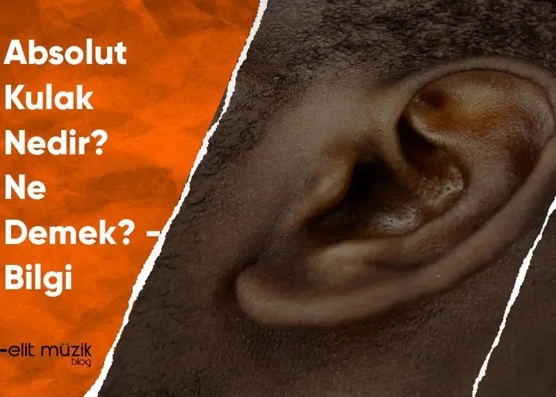 Absolut Kulak Nedir? Ne Demek? Bilgi