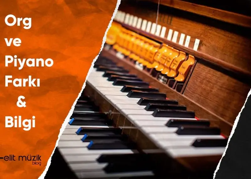 Org ve Piyano Farkı - Bilgi