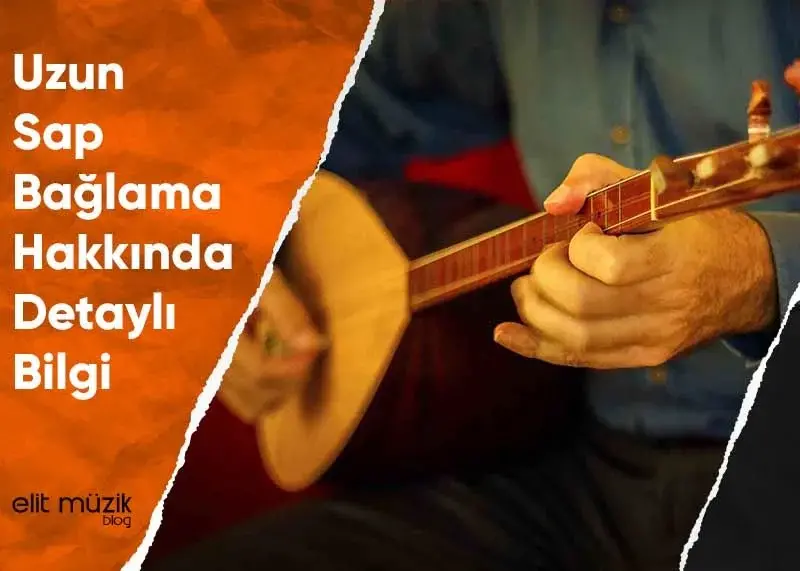 Uzun Sap Bağlama Hakkında Detaylı Bilgi