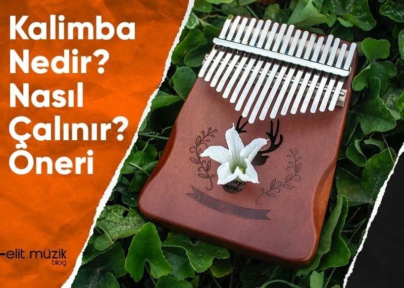 Kalimba Nedir? Nasıl Çalınır? Öneri