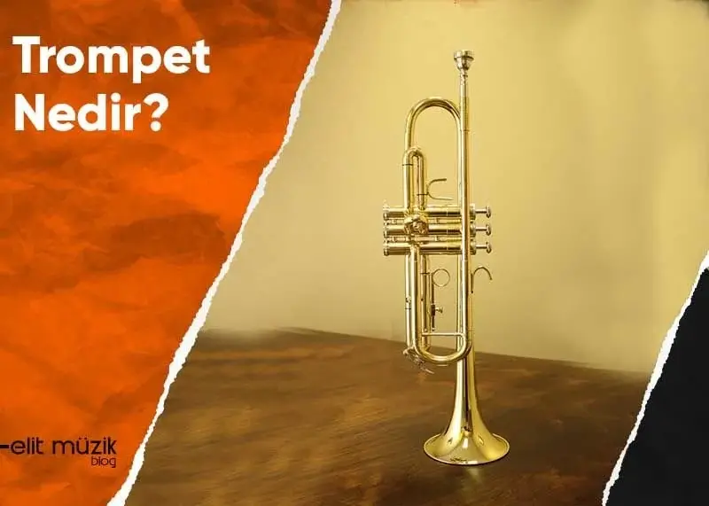 Trompet Nedir