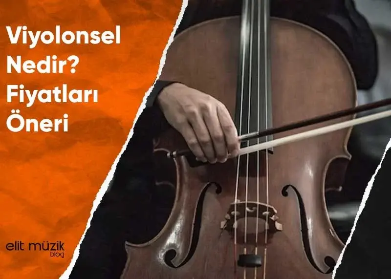 Viyolonsel Nedir? Fiyatları – Öneri