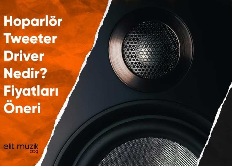 Hoparlör Tweeter Driver Nedir? Fiyatları – Öneri