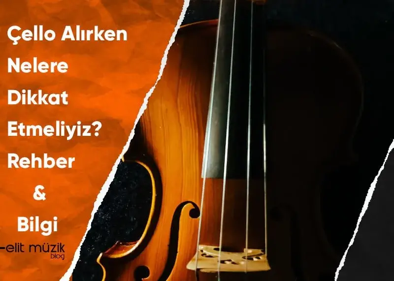 Çello Alırken Nelere Dikkat Etmeliyiz? Rehber – Bilgi