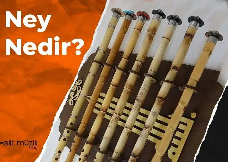 Ney Nedir?