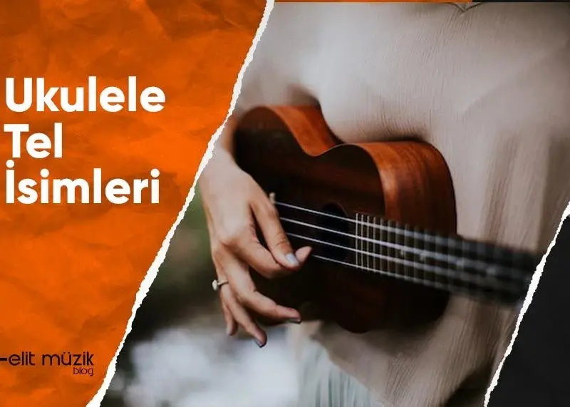 Ukulele Tel İsimleri