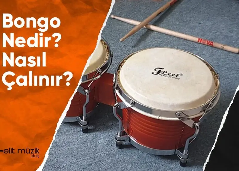 Bongo Nedir? Nasıl Çalınır?