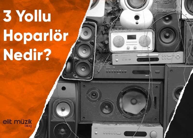 3 Yollu Hoparlör Nedir?