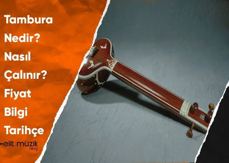 Tambura Nedir? Nasıl Çalınır? Fiyat - Bilgi - Tarihçe