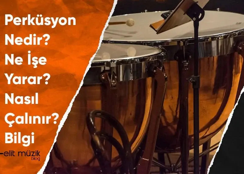 Perküsyon Nedir? Ne İşe Yarar? Nasıl Çalınır? Bilgi