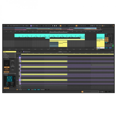 Ableton Live 12 Suite UPG from Live Lite Yazılım - 4