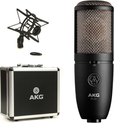AKG P420 Condenser Stüdyo Mikrofon - 3