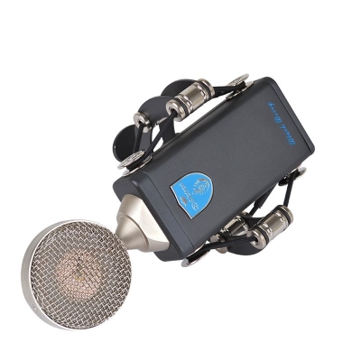 Alctron Black Berry 2 FET Condenser Mikrofon - 4