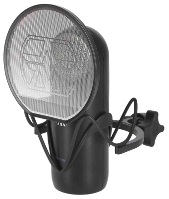 Aston Element Bundle Kondenser Mikrofon Seti - 1