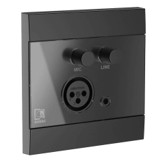 Audac WP210/B Dijital Mikrofon ve Line Giriş Paneli - Audac