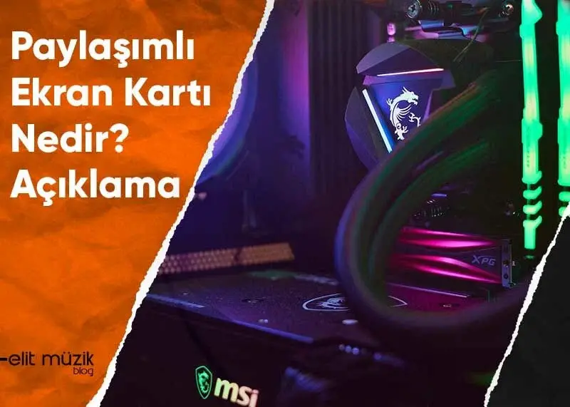 Paylaşımlı Ekran Kartı Nedir - Açıklaması