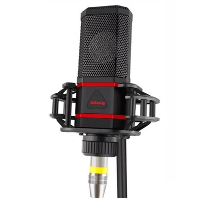 König K-CM 620 Pro Çift Diyafram Stüdyo Condenser Mikrofon - 2