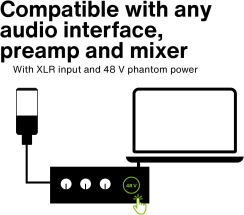 Lewitt LCT 441 Flex Stüdyo Condenser Mikrofon - 14