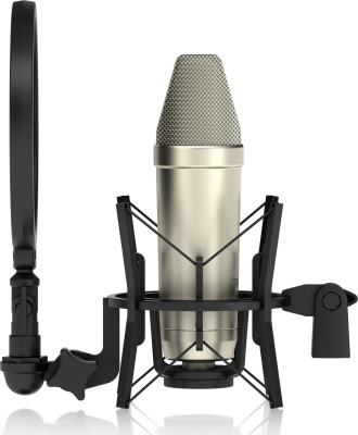 Tannoy TM1 Stüdyo Condenser Mikrofon - 2