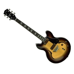 VOX VGDC Double-Cutaway - Vox