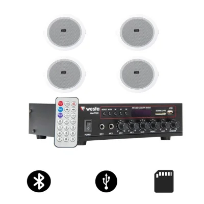 Westa 4'lü Tavan Ses Sistemi Paketi (WM-750U Amfi + 4x WS-1013T) - 1