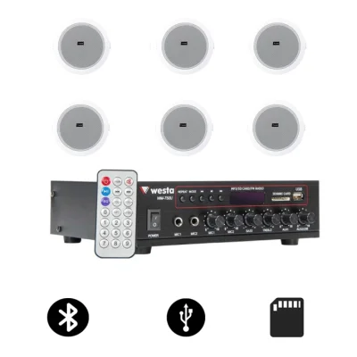 Westa 6'lı Tavan Ses Sistemi Paketi (WM-750U Amfi + 6x WS-1013T) - 1