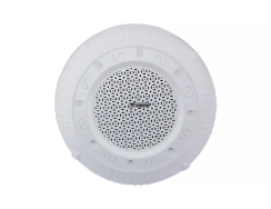 Westa WS-1256T Trafolu Tavan Tipi Hoparlör - Westa