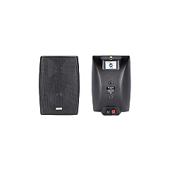 Westa WS-65TB 16cm 50W Trafolu Duvar Tipi Hoparlör - Westa