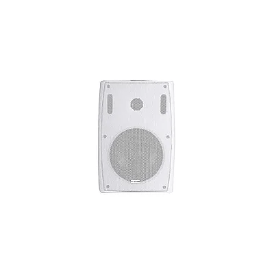 Westa WS-65TW 16cm 50W Trafolu Duvar Tipi Hoparlör - 1