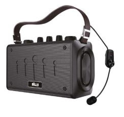 Wöller W-600H Kablosuz Headset Mikrofonlu Taşınabilir Hoparlör (100 Watt) - Wöller