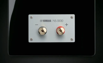 Yamaha NS-3000 Hi-Fi Hoparlör (ÇİFT) - 5